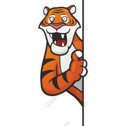 Playful Tiger