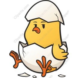 Charming Newly Hatched Chick