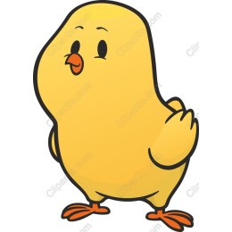 Adorable Yellow Chick