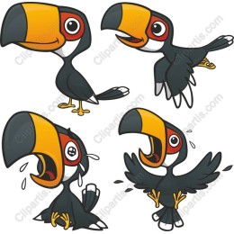 Tropical Toucan Bundle