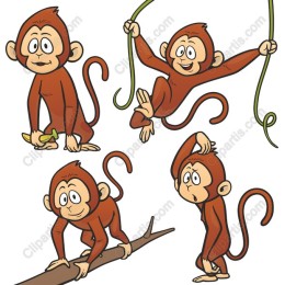 Playful Monkey Set
