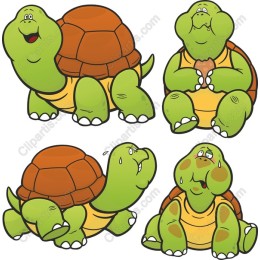 Charming Cartoon Turtle Set