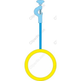 Vibrant Clamp and Ring