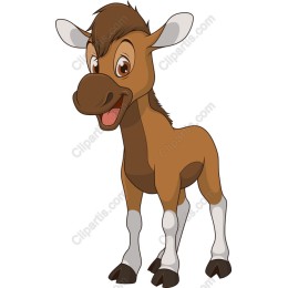 Playful Young Horse Cartoon