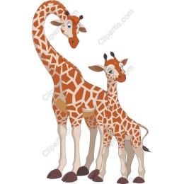 Charming Mother and Baby Giraffe