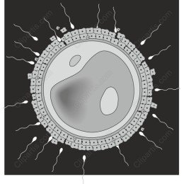 Cellular Harmony - Cell