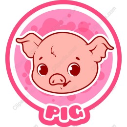 Cute Pig