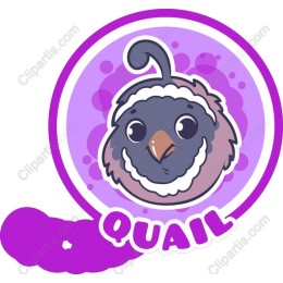 Charming Quail