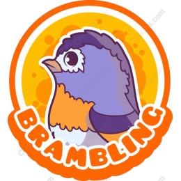 Brambling Bird
