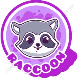 Adorable Raccoon
