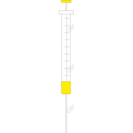Professional Syringe