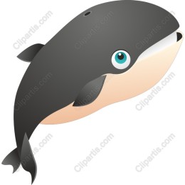 Adorable Whale