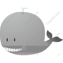 Charming Cartoon Whale