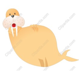 Adorable Walrus