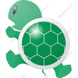 Charming Turtle