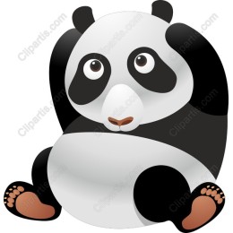 Cute Panda