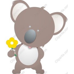 Cute Koala Bear