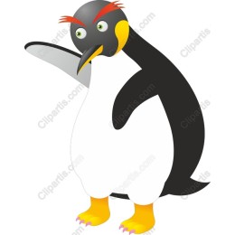 Cartoon Penguin