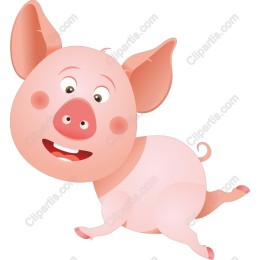 Cheerful Playful Pig