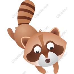 Charming Raccoon