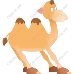 Cartoon Camel