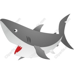 Cheerful Shark