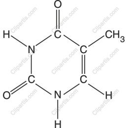 Caffeine Molecular Structure