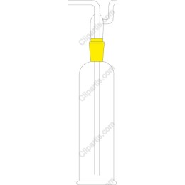 Stylish Bottle with Straw