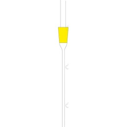 Yellow Paintbrush