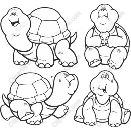 Whimsical Turtle Collection