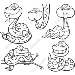 Whimsical Snake Collection
