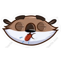Playful Raccoon Face