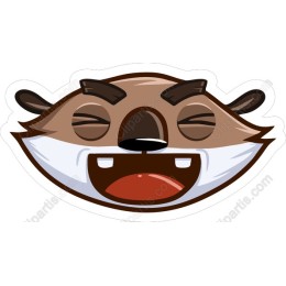 Cheerful Raccoon Face