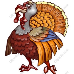 Festive Turkey