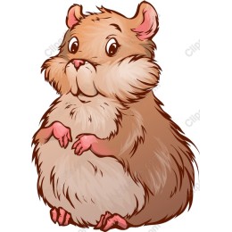 Adorable Hamster