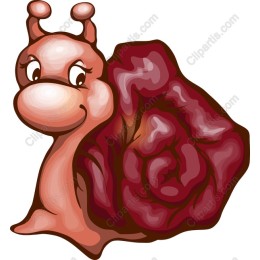 Charming Snail with Rose Shell