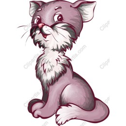 Charming Gray Kitten
