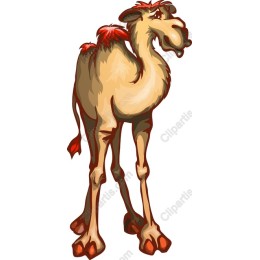 Charming Cartoon Camel
