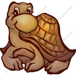 Charming Cartoon Turtle