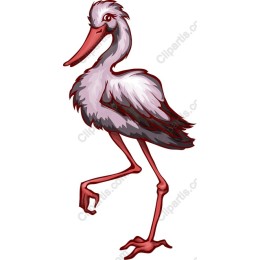 Vibrant Stork