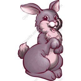 Happy Bunny