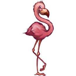 Vibrant Flamingo