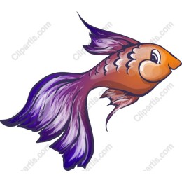 Vibrant Aquatic Fish