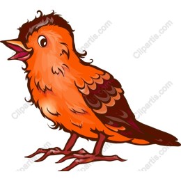 Vibrant Singing Bird