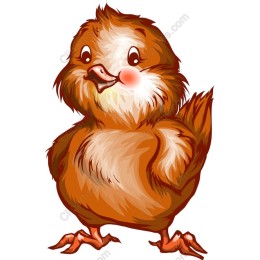 Adorable Brown Bird