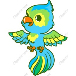 Colorful Parrot