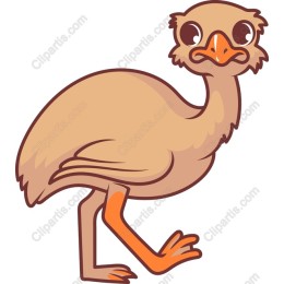 Cartoon Ostrich
