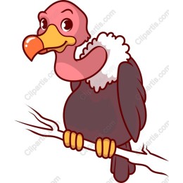 Charming Cartoon Vulture