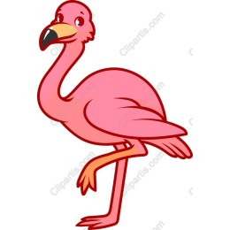 Vibrant Pink Flamingo