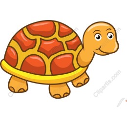 Cheerful Turtle